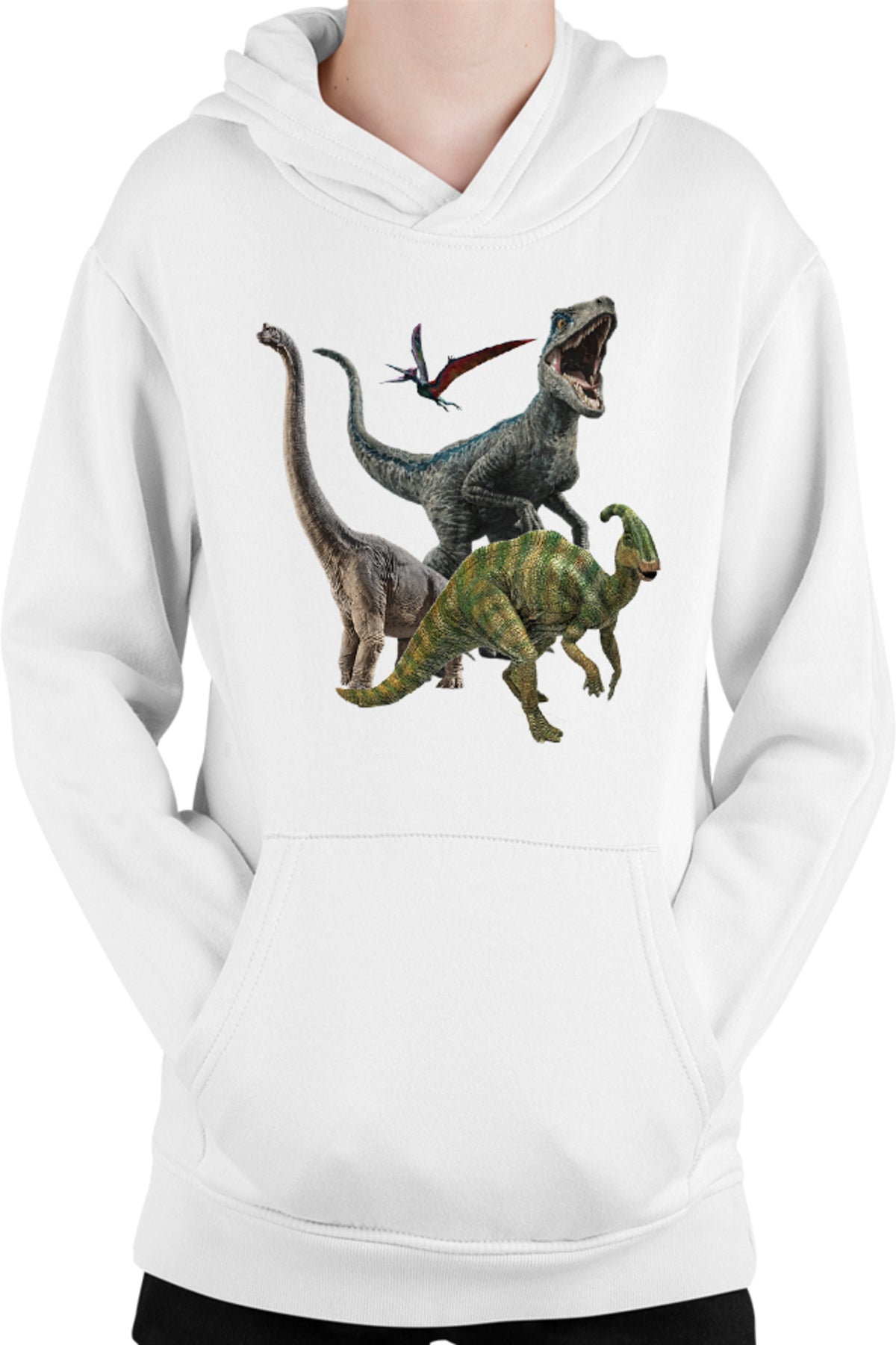 Hanorac copii Jurassic Park Dinossaurs Fly Terrestrial Dangerous