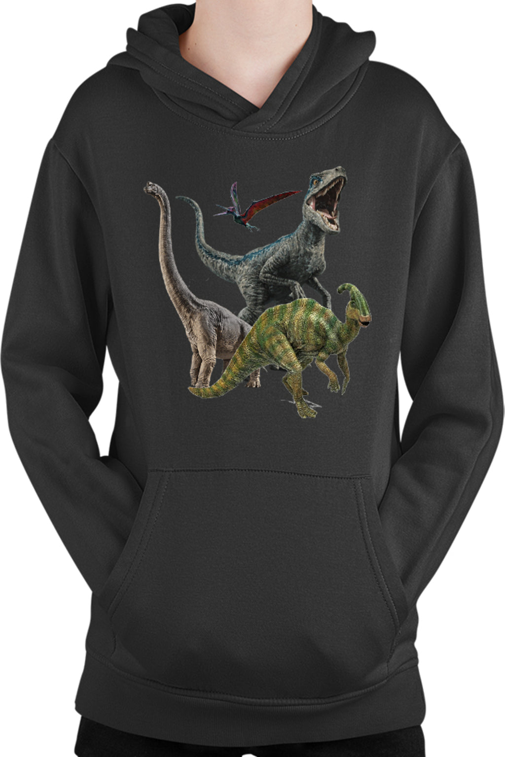 Hanorac copii Jurassic Park Dinossaurs Fly Terrestrial Dangerous