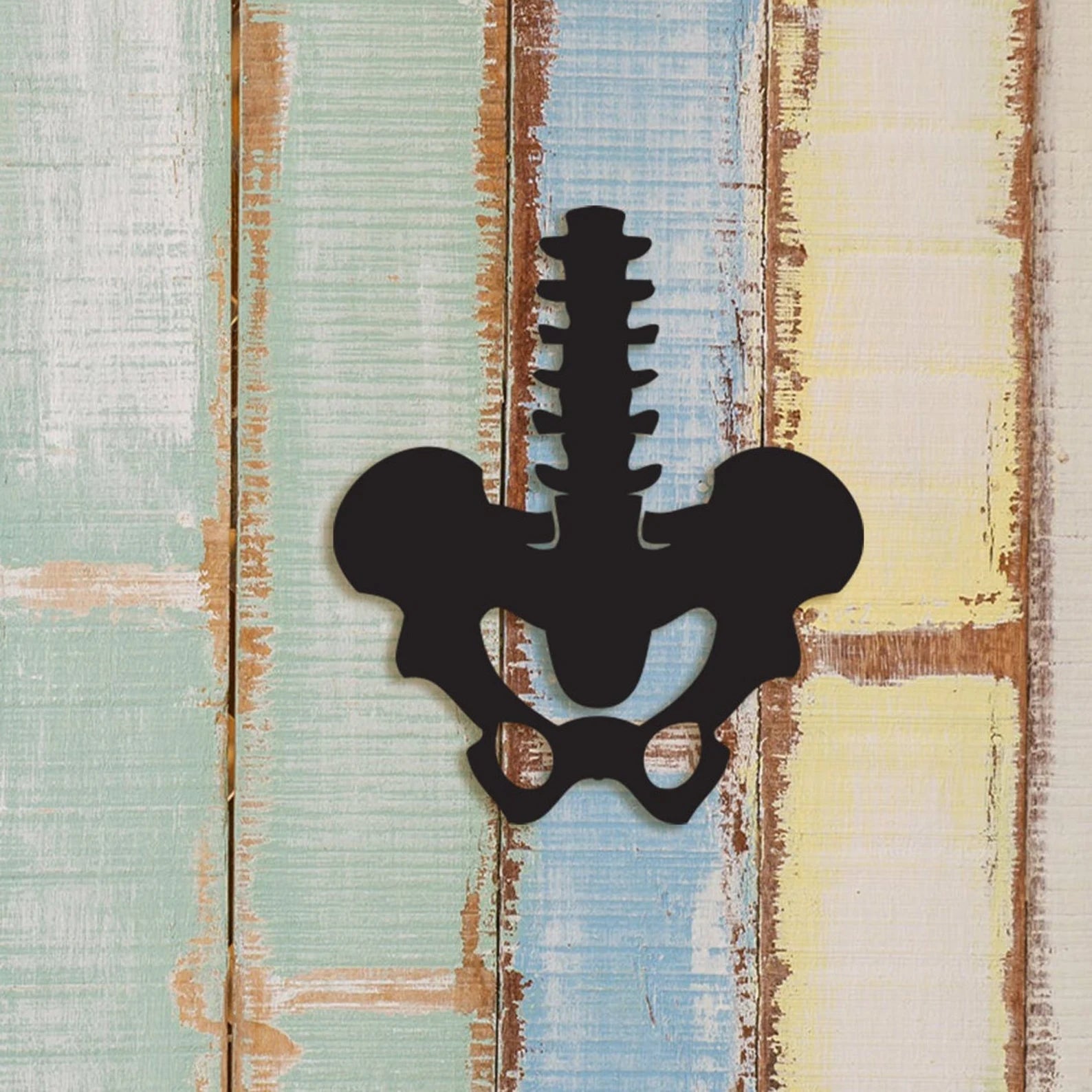 Pelvic Bone Wood Wall Art: Therapy Office Decor