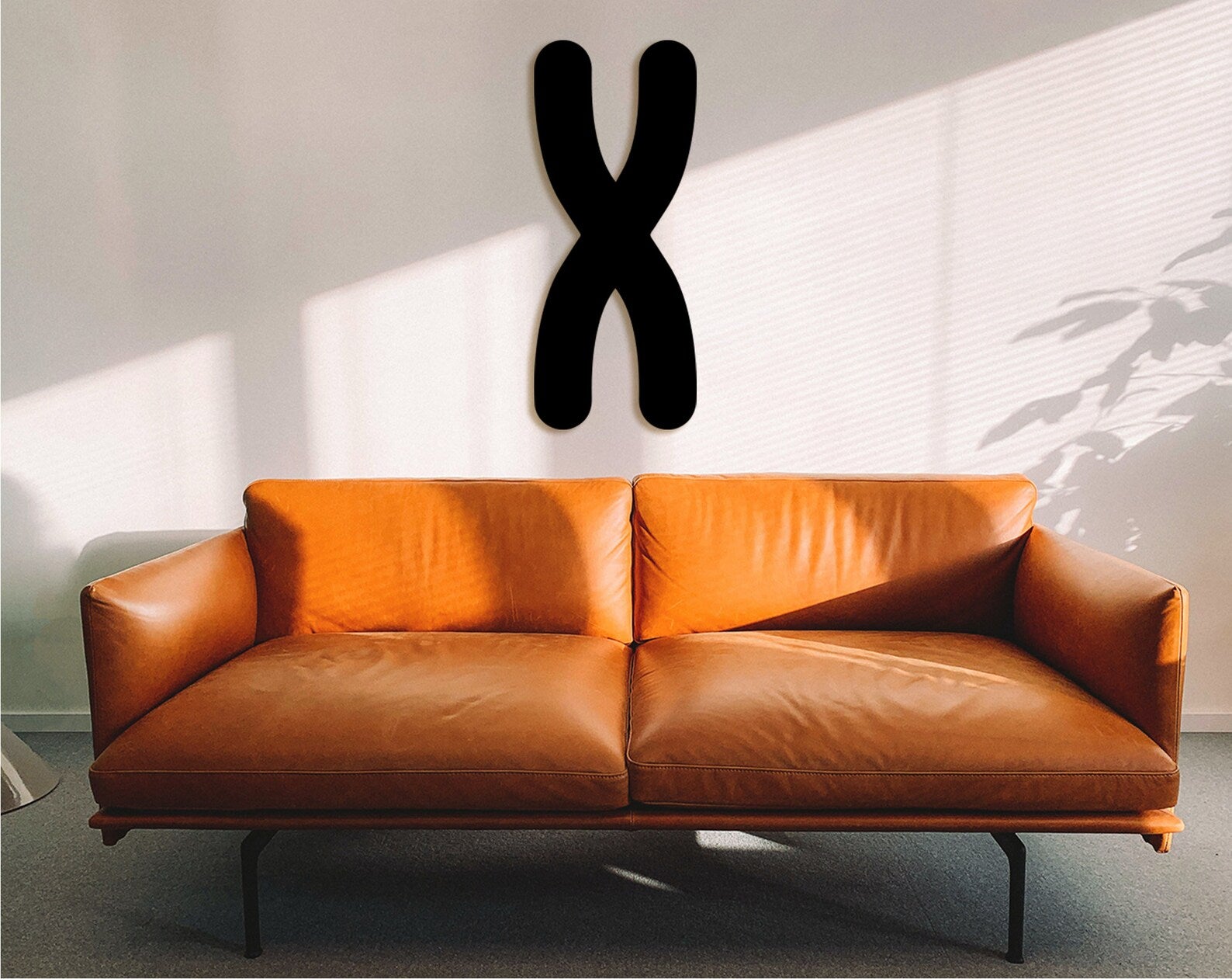 3D Chromosome Wall Art - Science Decor, Microbiology Gift