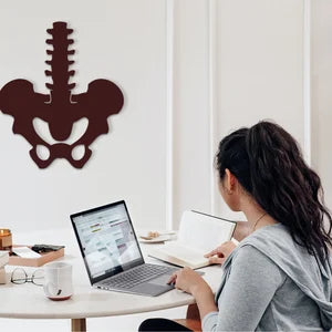 Pelvic Bone Wood Wall Art: Therapy Office Decor