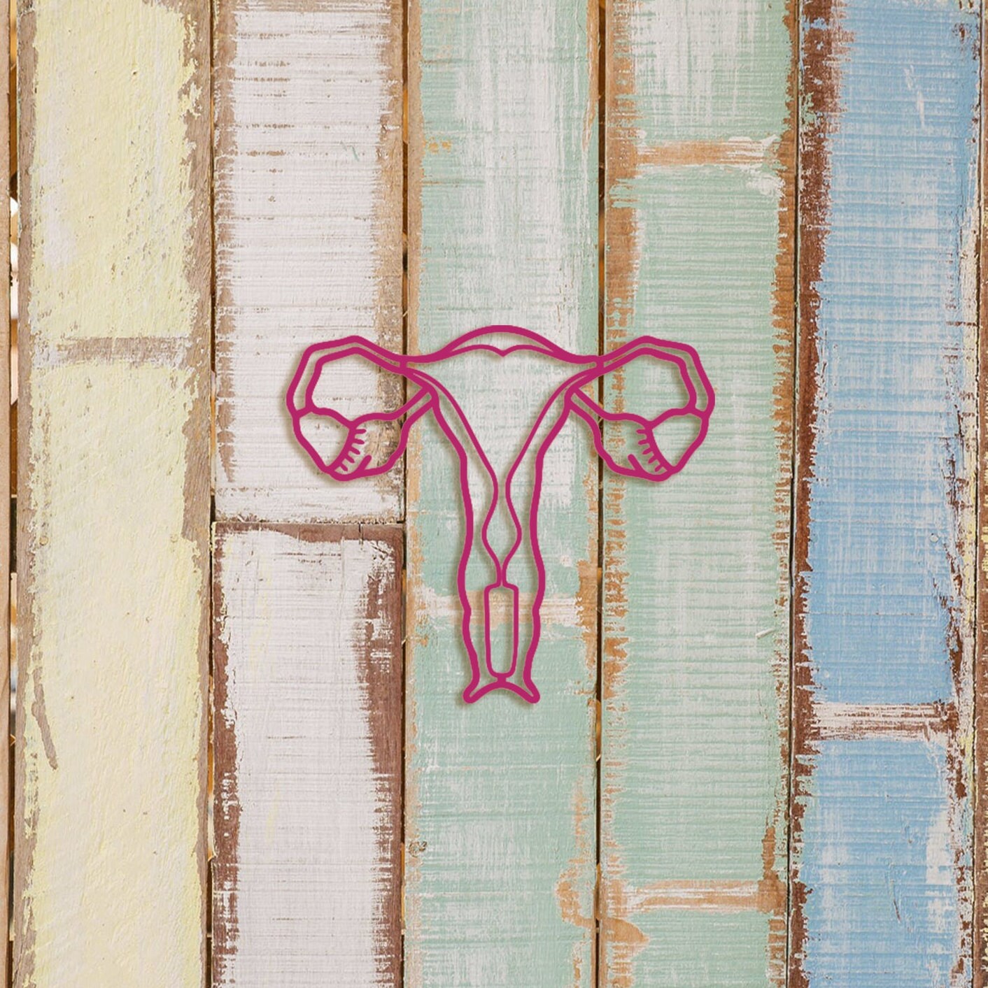 Uterus Anatomy Wood Wall Art - Floral Medical Decor, Gift