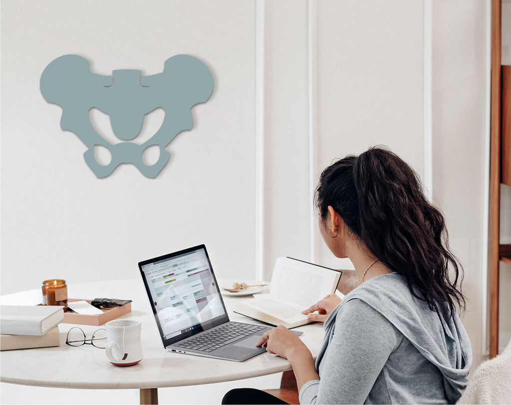 Pelvic Bone Art: 3D Shadow Effect, Medical Office Decor