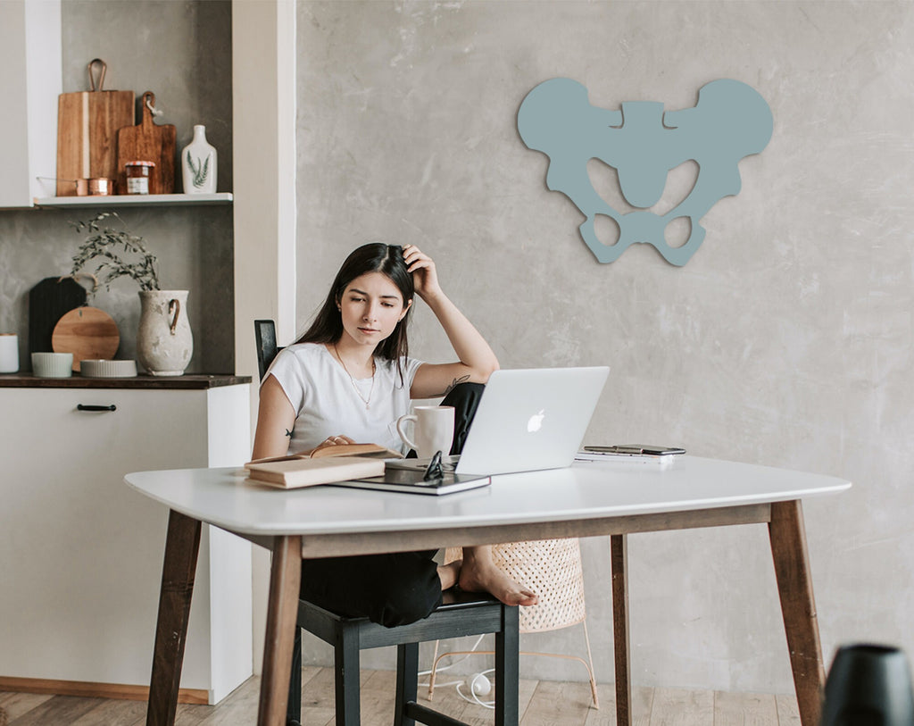 Pelvic Bone Art: 3D Shadow Effect, Medical Office Decor