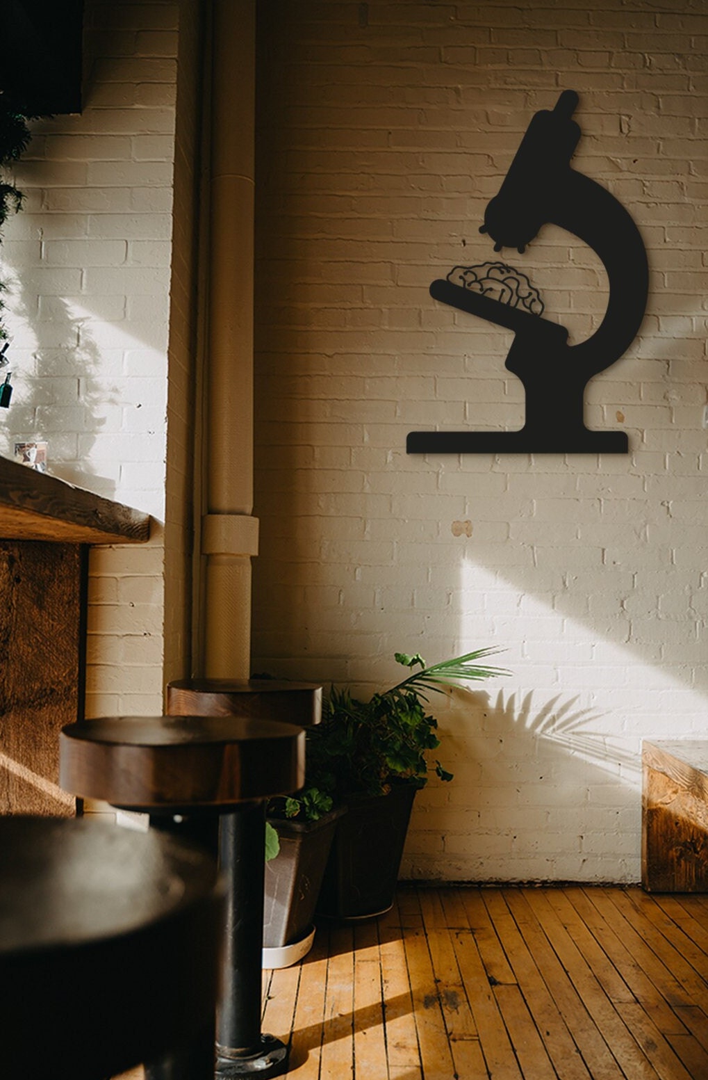 Microscope Wall Art: 3D Shadow Decor, Science Gift