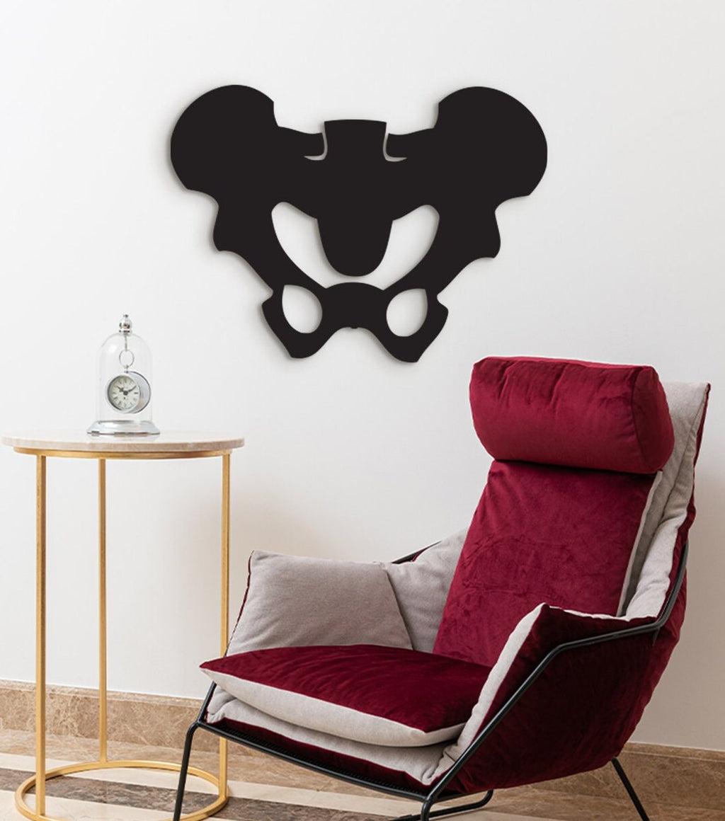 Pelvic Bone Art: 3D Shadow Effect, Medical Office Decor