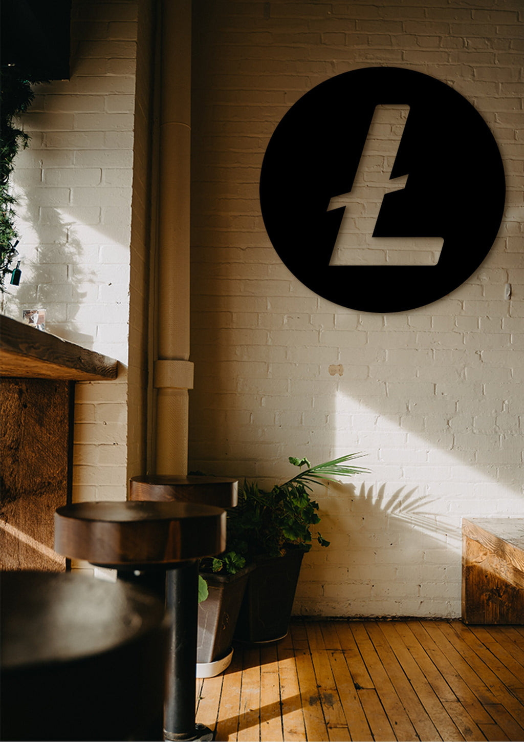 Litecoin Wood Wall Art: 3D Shadow Effect Crypto Decor