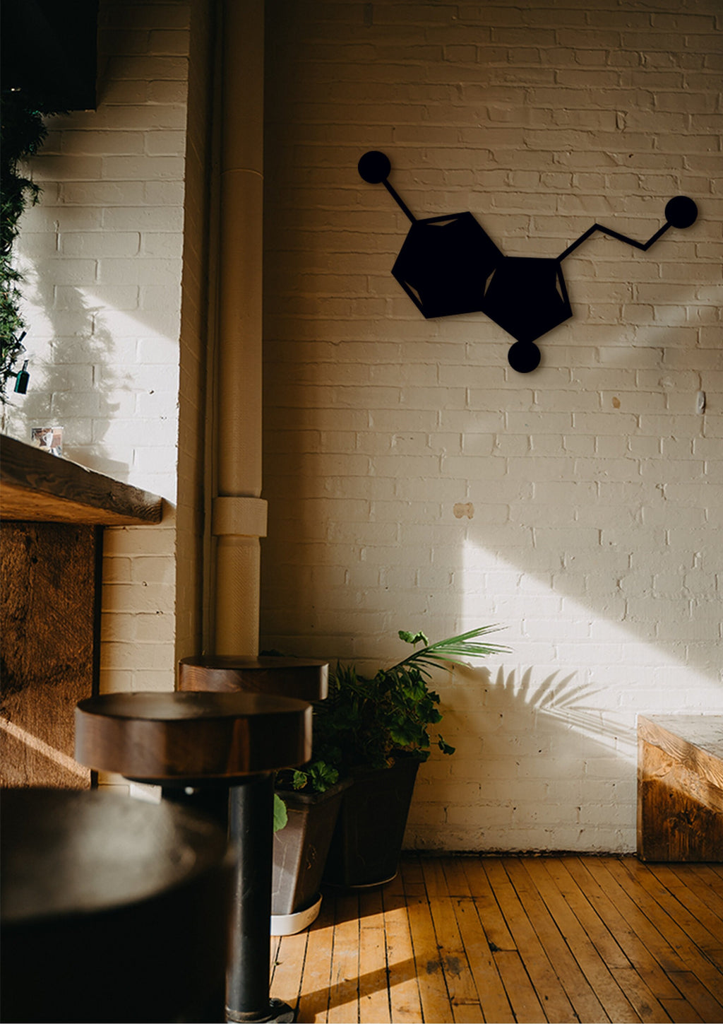 Serotonin Molecule Wall Art: 3D Shadow Effect, Science Gift