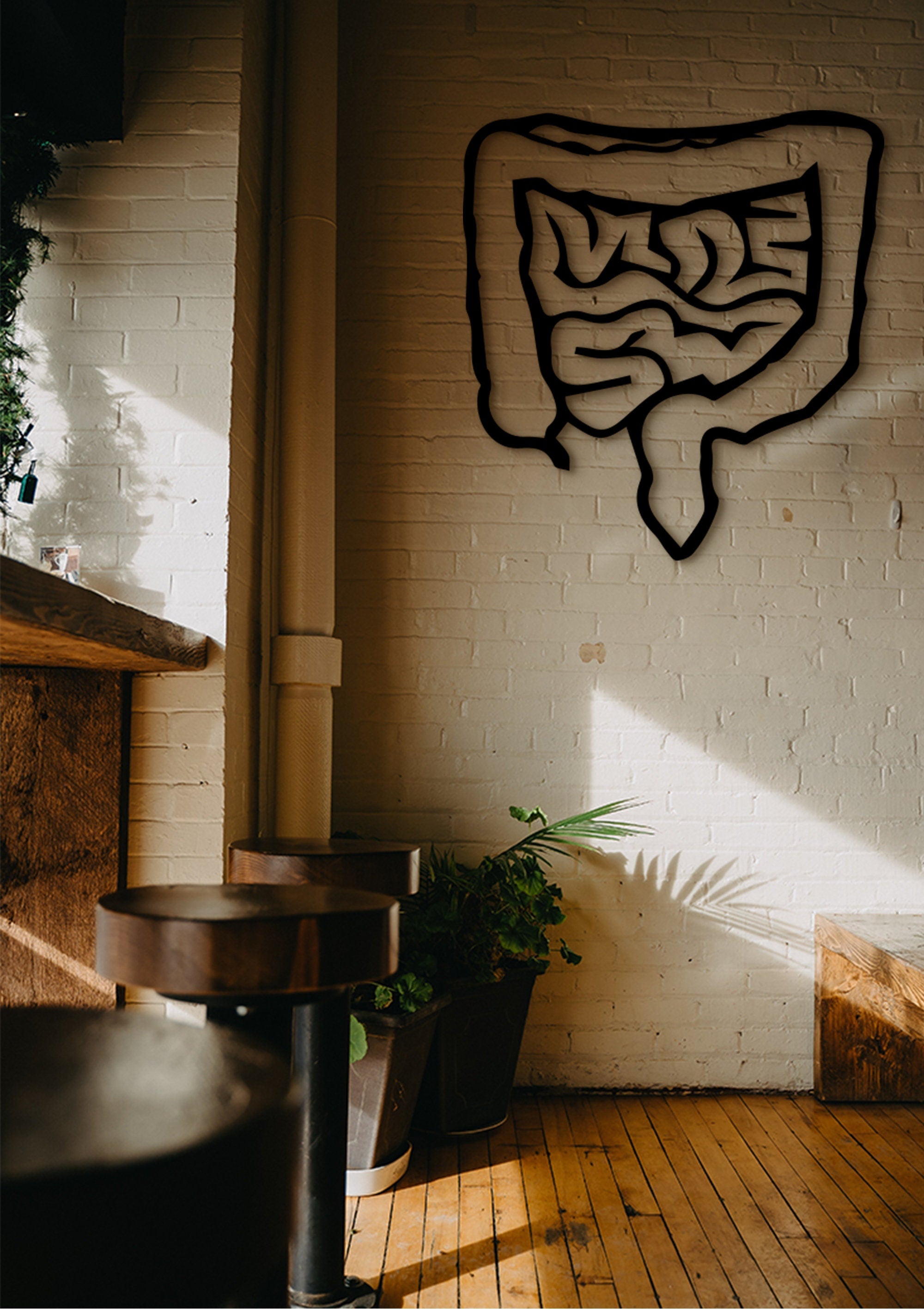 Gastroenterology Art: Laser Cut Intestines Wall Decor
