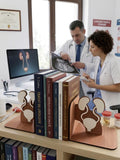 Handcrafted Anatomical Urinary System Bookends, Wood Medical Decor, Urology Gift